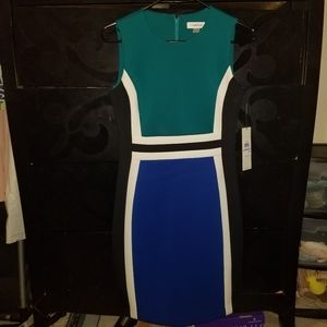 Calvin Klein Womens Dress
